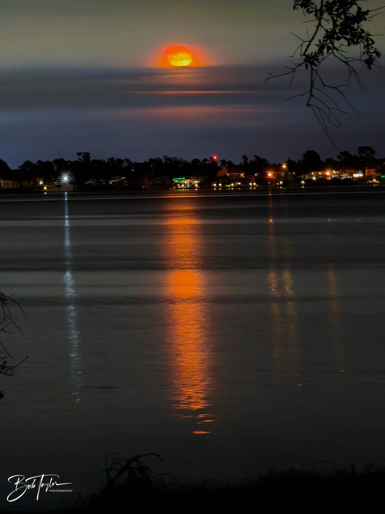 20231129-SASP 2023 -273.jpg