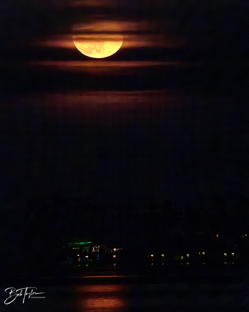 20231129-SASP 2023 -277.jpg