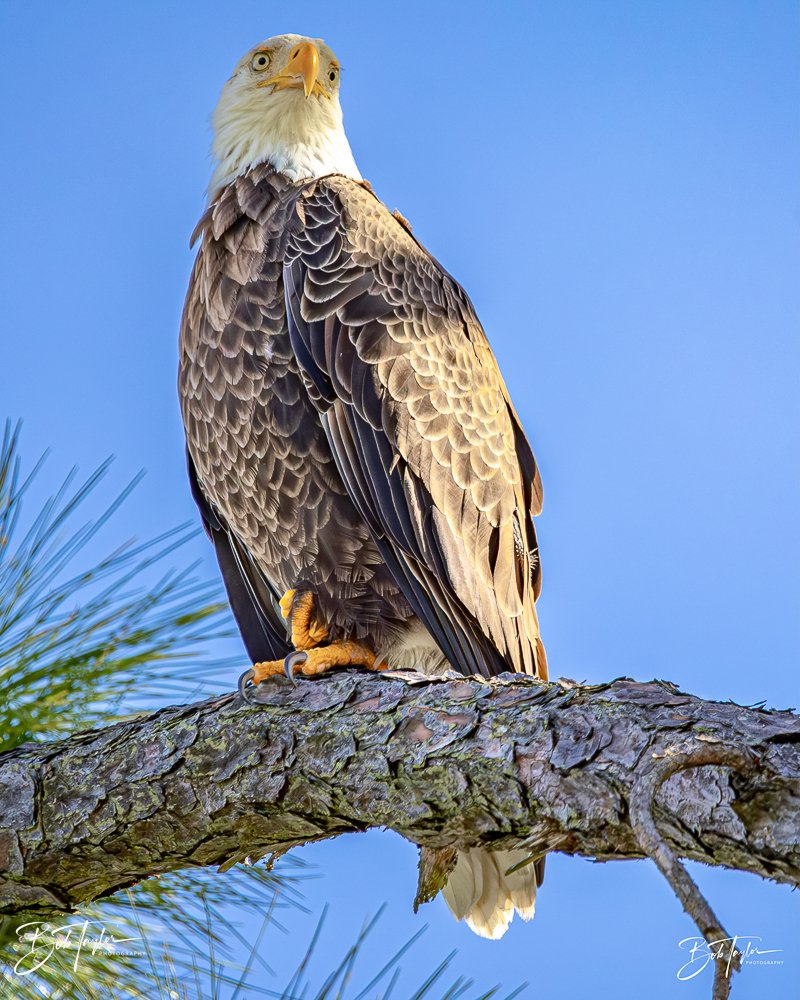 20231205-SASP 2023 -308.jpg