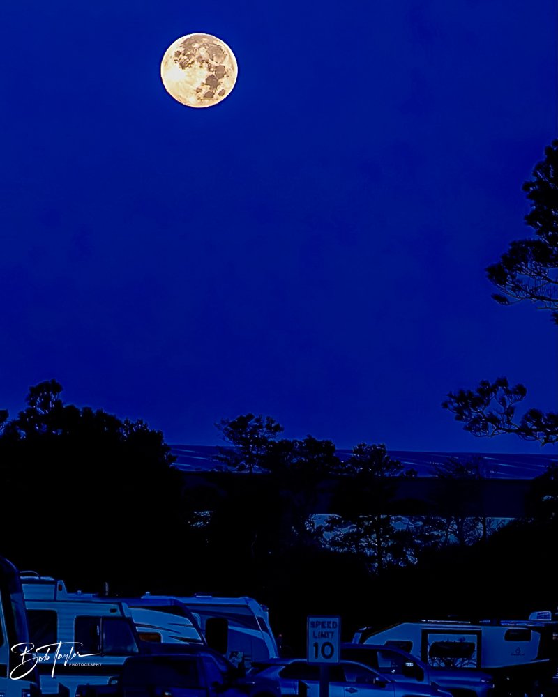 20231127-SASP 2023 -227.jpg