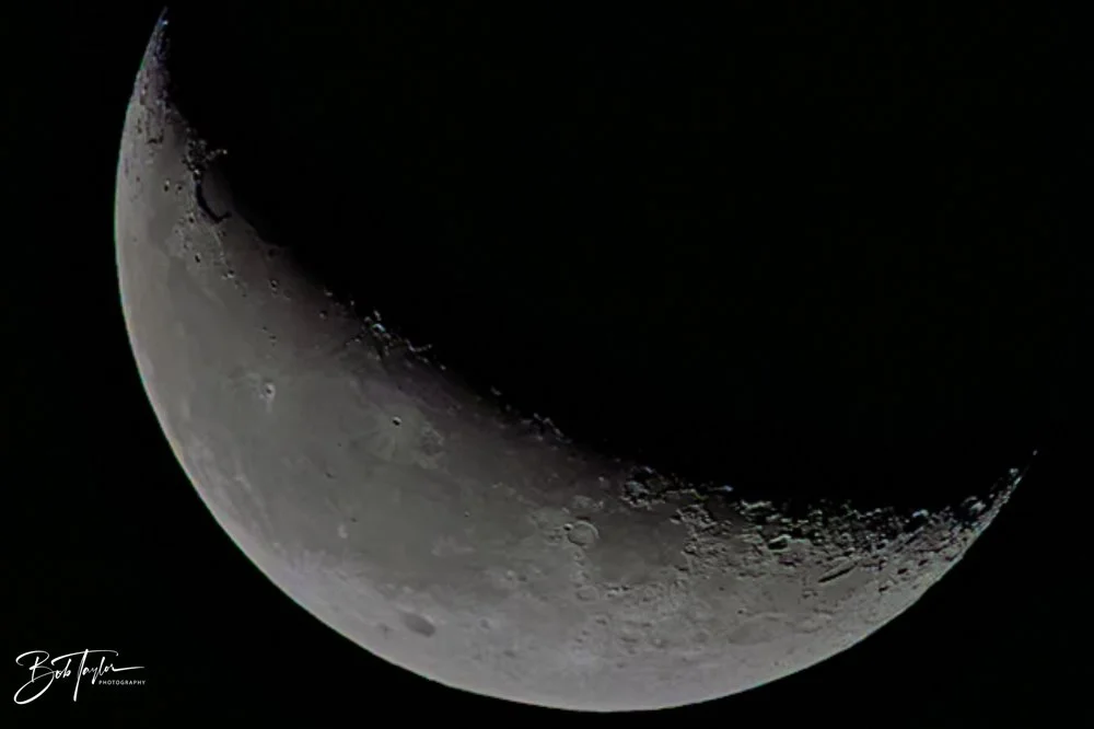 20231207-SASP 2023 -326.jpg