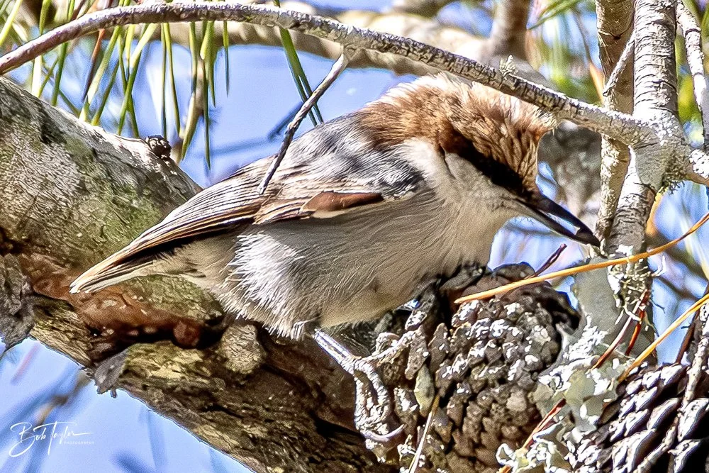 20231128-SASP 2023 -255.jpg