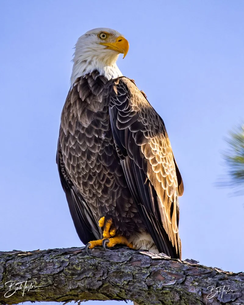 20231205-SASP 2023 -303.jpg