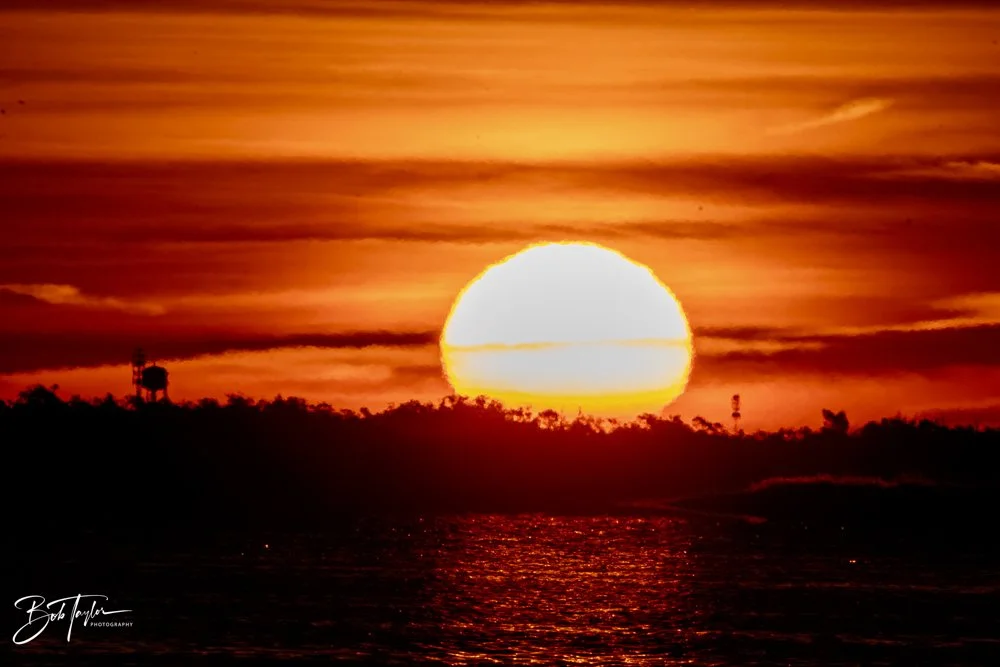 20231207-SASP 2023 -330.jpg