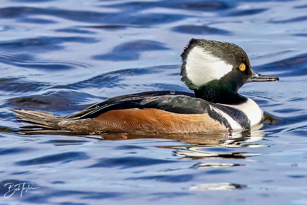 20231205-SASP 2023 -284.jpg