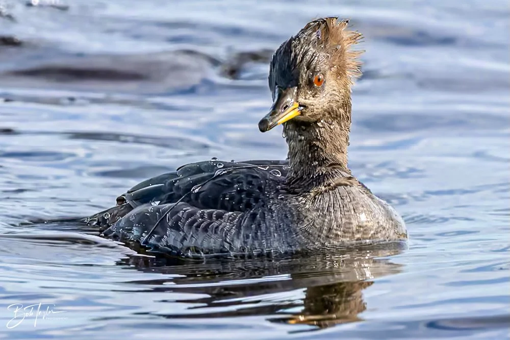 20231205-SASP 2023 -290.jpg