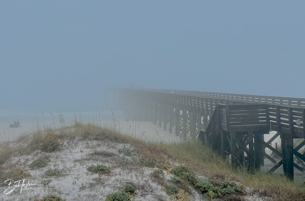 20231203-SASP 2023 -281.jpg