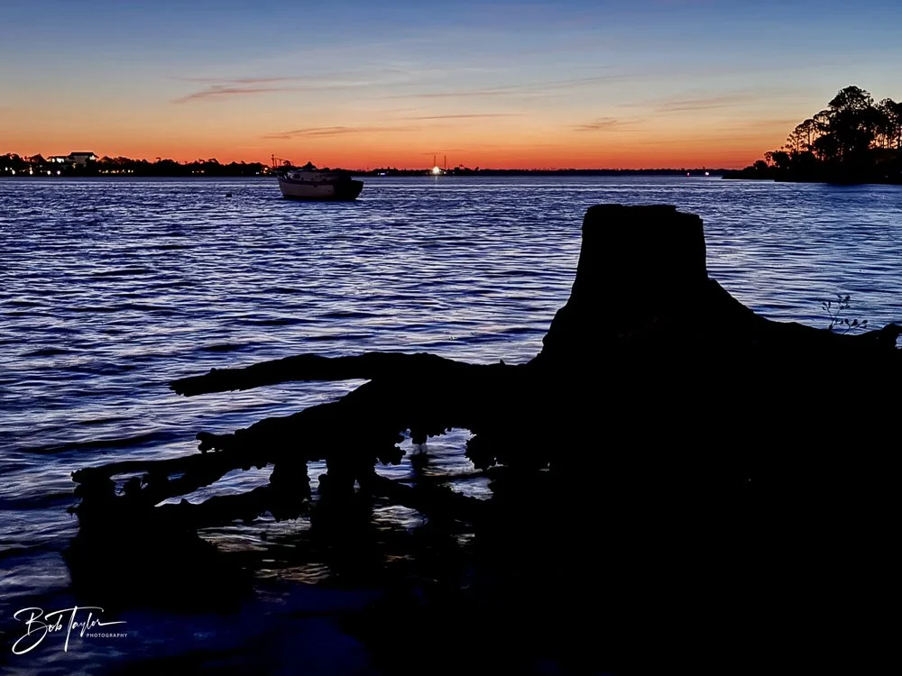 20231207-SASP 2023 -323.jpg