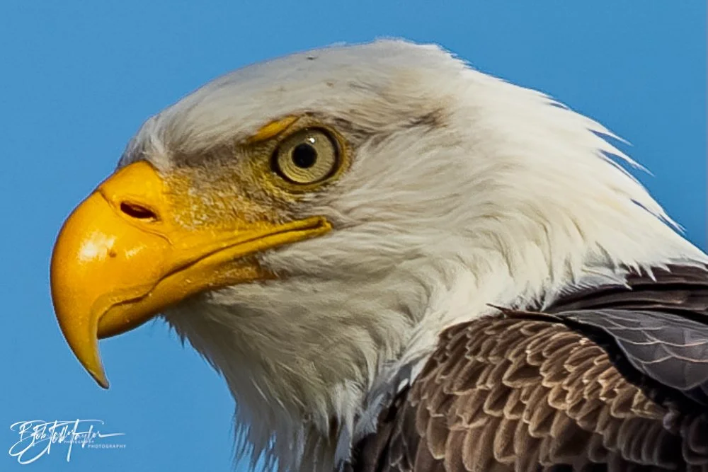 20231205-SASP 2023 -293.jpg