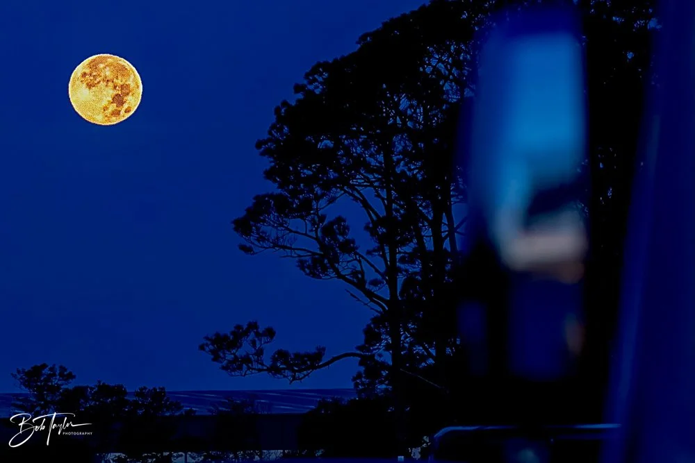 20231127-SASP 2023 -229.jpg