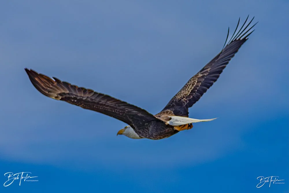 20231205-SASP 2023 -310.jpg