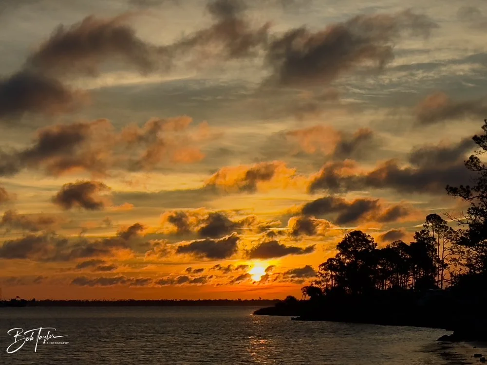 20231127-SASP 2023 -224.jpg