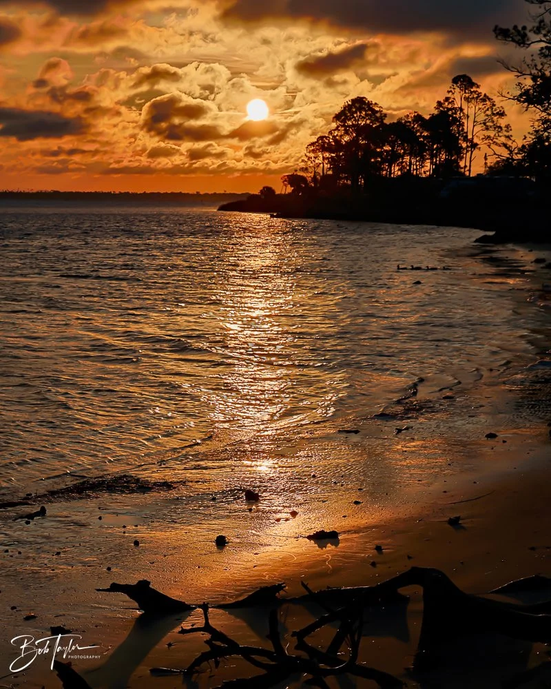 20231127-SASP 2023 -235.jpg