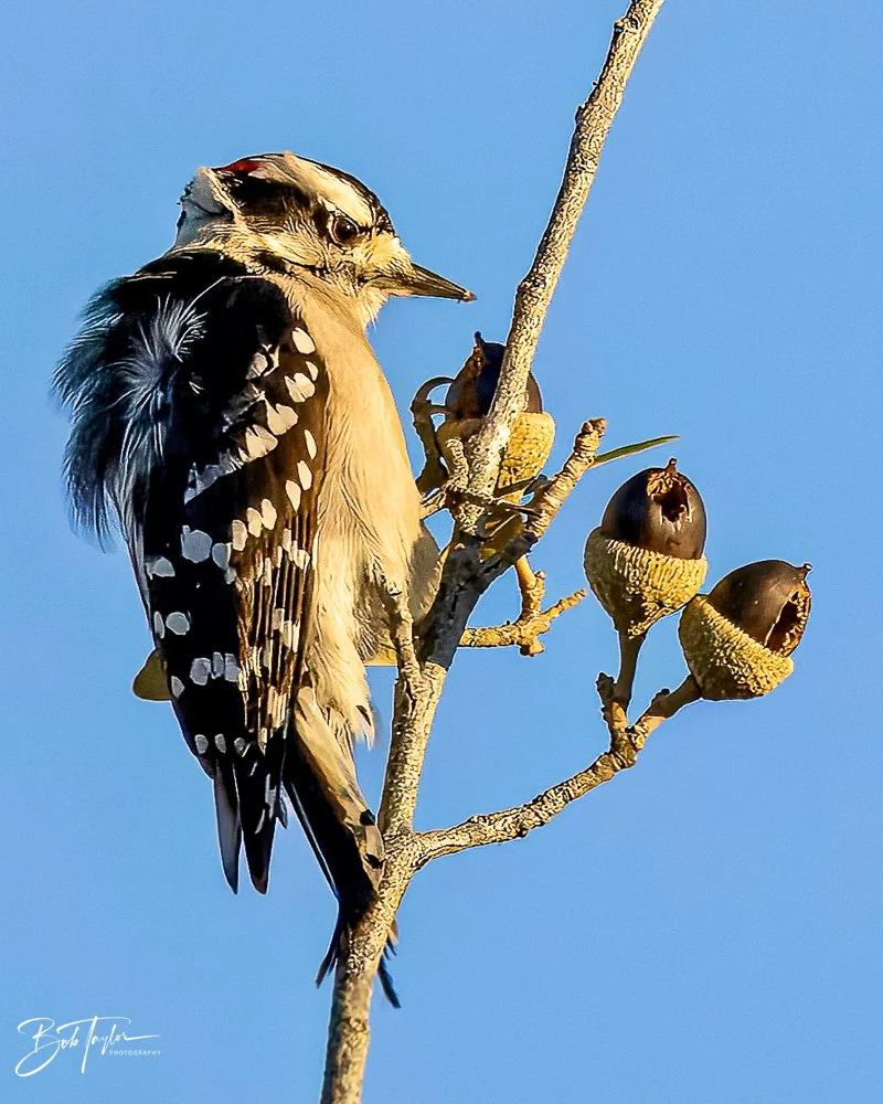 20231127-SASP 2023 -254.jpg