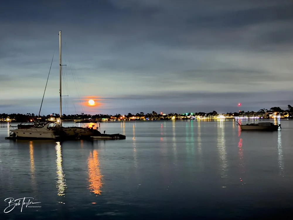 20231129-SASP 2023 -272.jpg