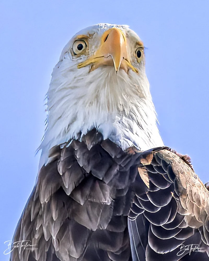 20231205-SASP 2023 -306.jpg