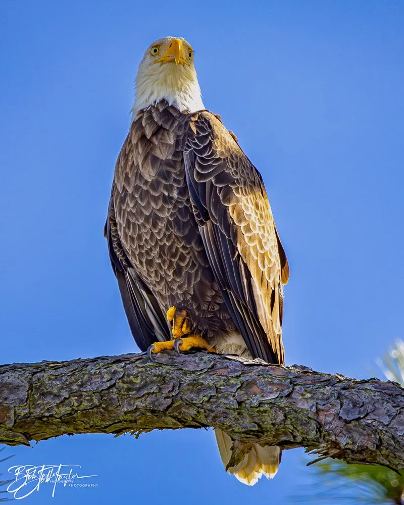 20231205-SASP 2023 -304.jpg