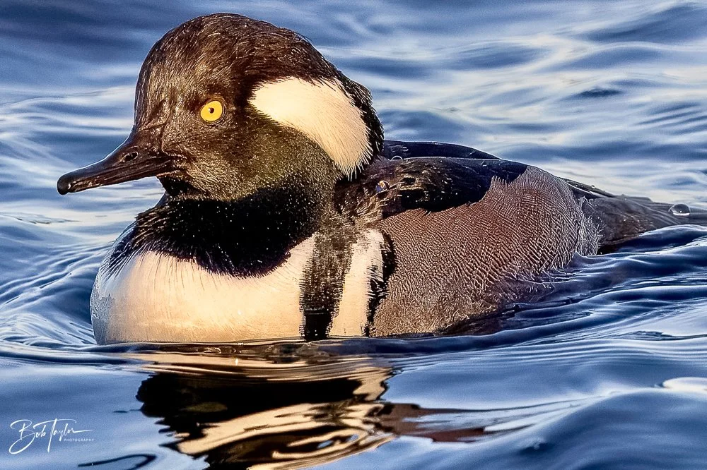 20231127-SASP 2023 -252.jpg