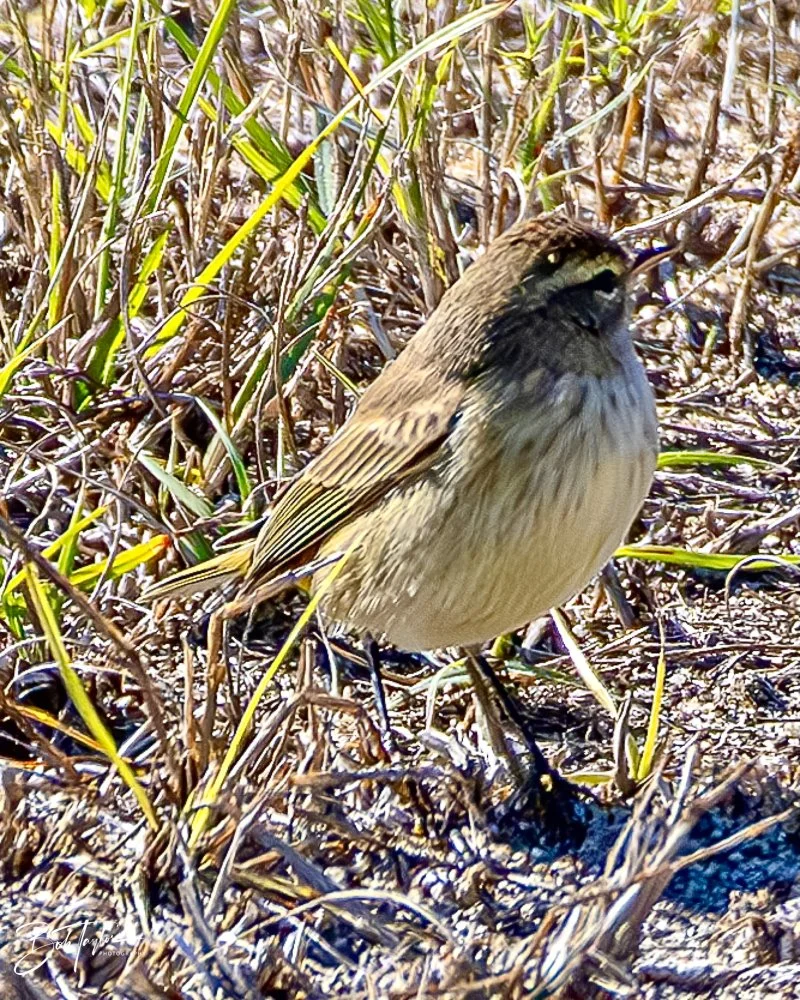 20231128-SASP 2023 -264.jpg