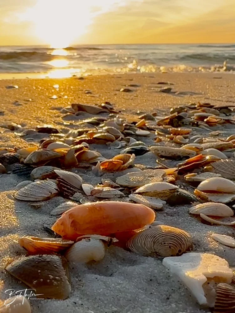 20231206-SASP 2023 -315.jpg