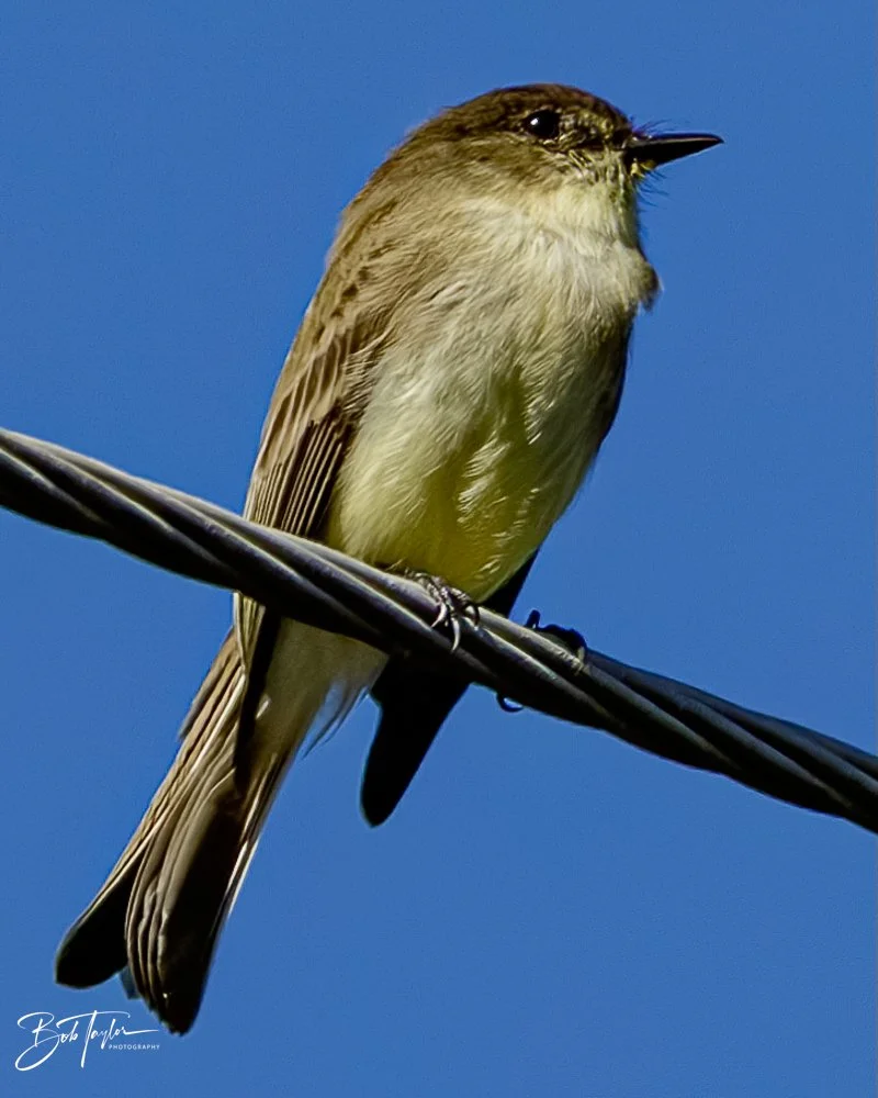 20231128-SASP 2023 -259.jpg