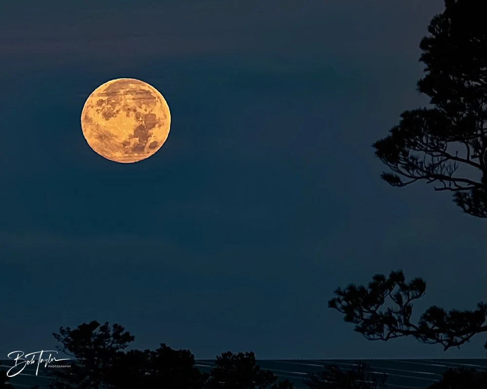 20231127-SASP 2023 -230.jpg