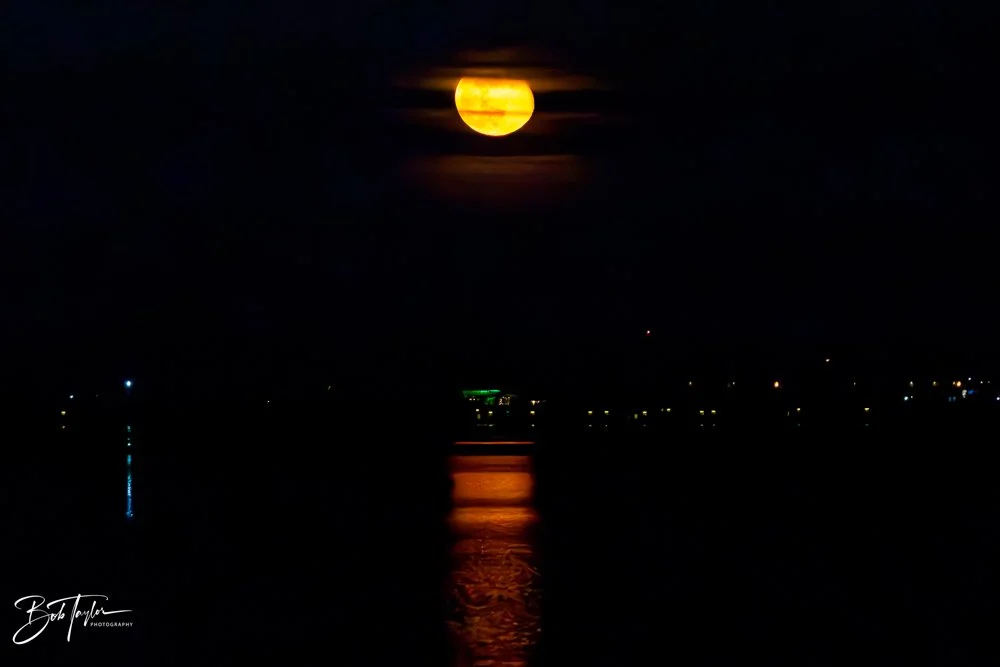 20231129-SASP 2023 -276.jpg