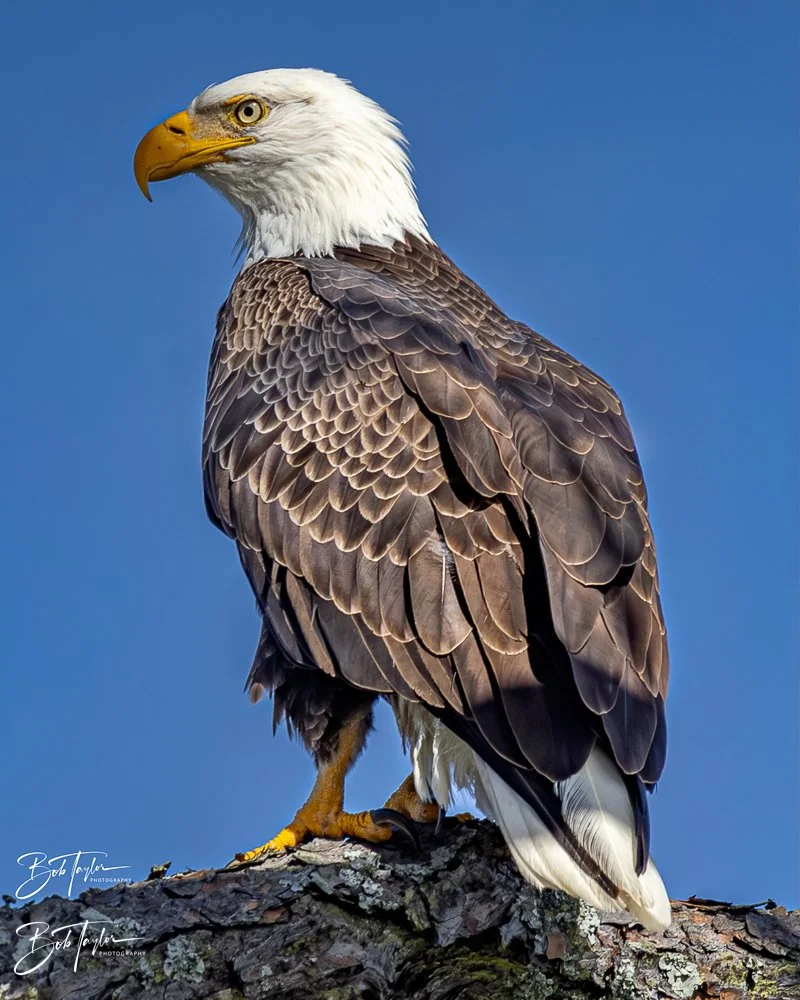 20231205-SASP 2023 -294.jpg