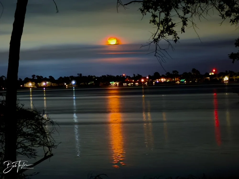 20231129-SASP 2023 -274.jpg