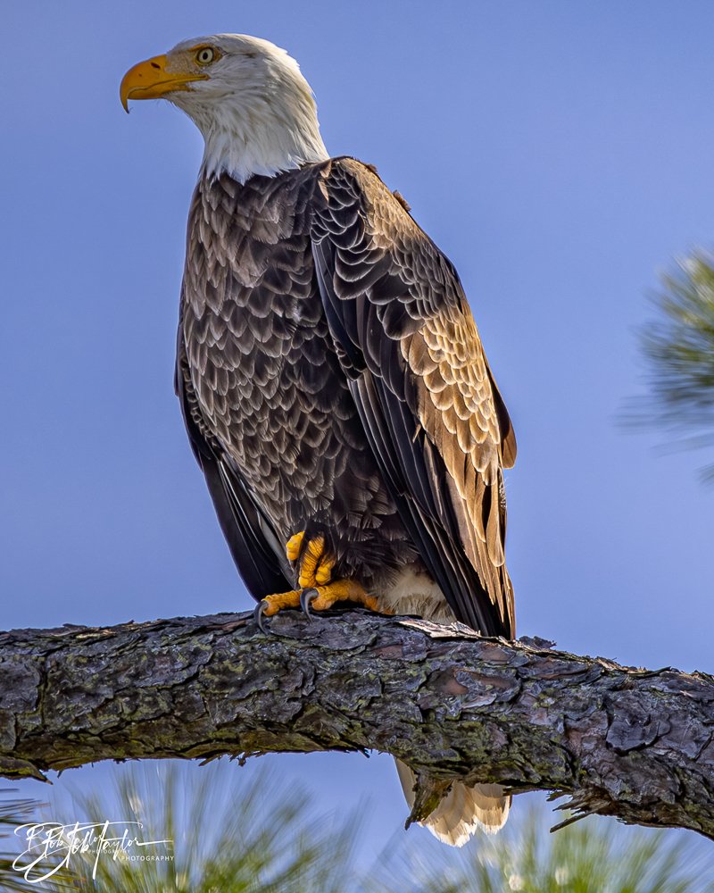 20231205-SASP 2023 -301.jpg