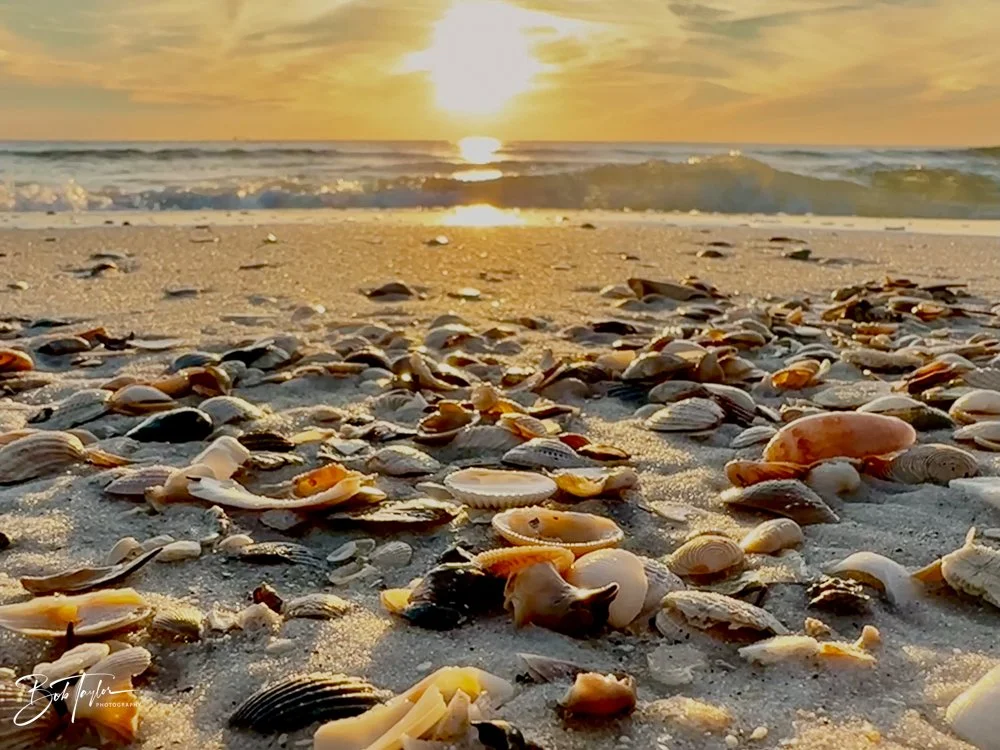 20231206-SASP 2023 -313.jpg