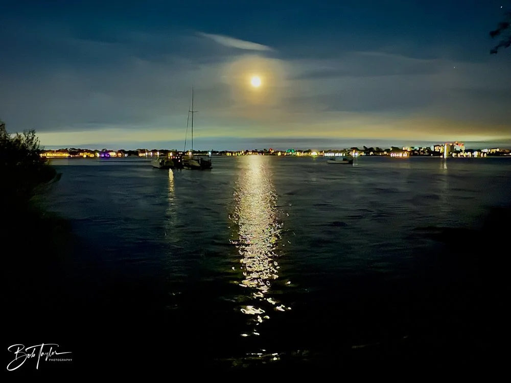 20231129-SASP 2023 -275.jpg