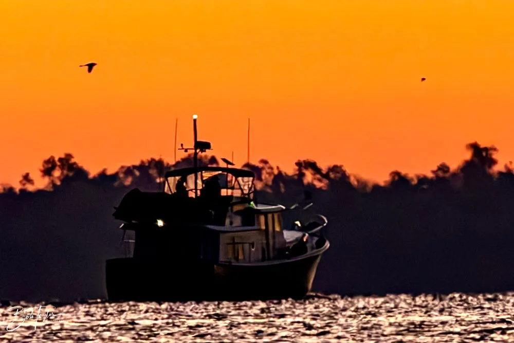 20231207-SASP 2023 -327.jpg