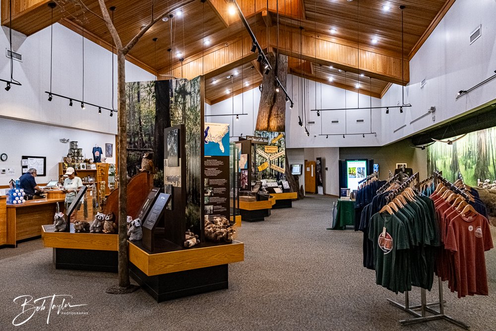 20250925-Congaree -26.jpg