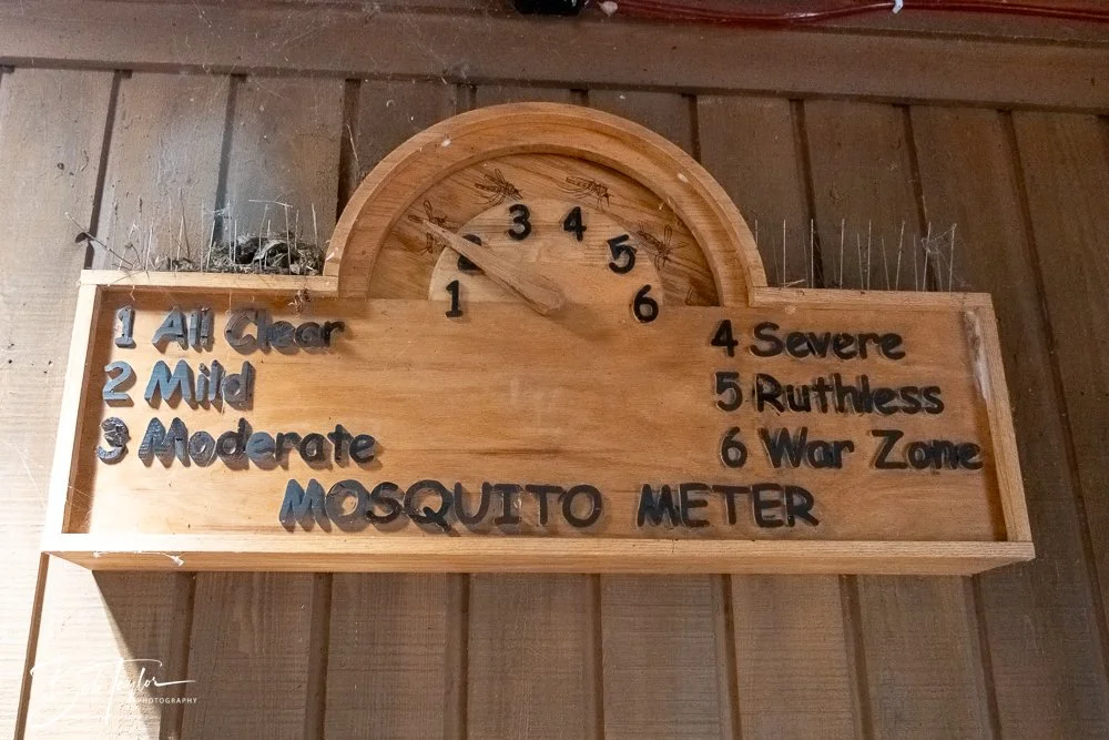 20250925-Congaree -21.jpg