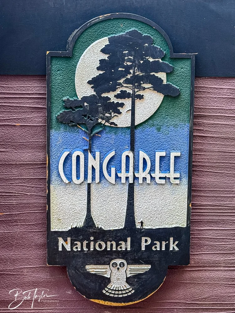 20250925-Congaree -12.jpg