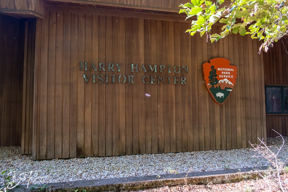 20250925-Congaree -19.jpg