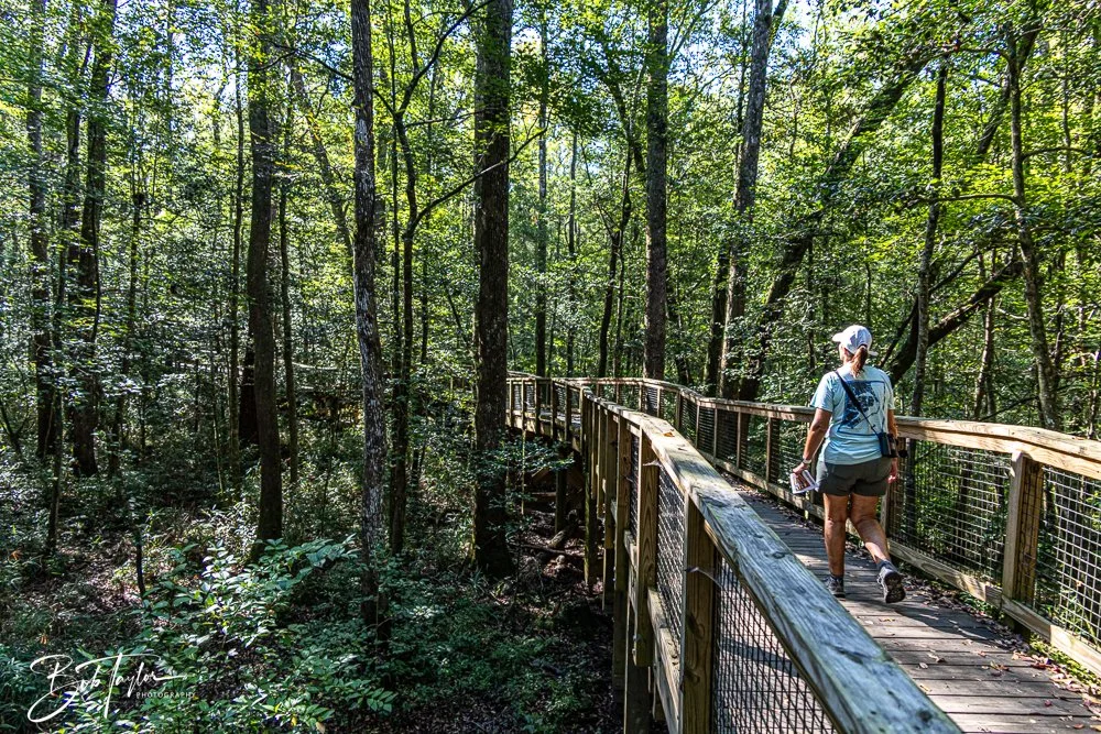 20250925-Congaree -3.jpg