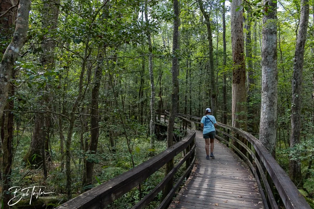 20250925-Congaree -33.jpg