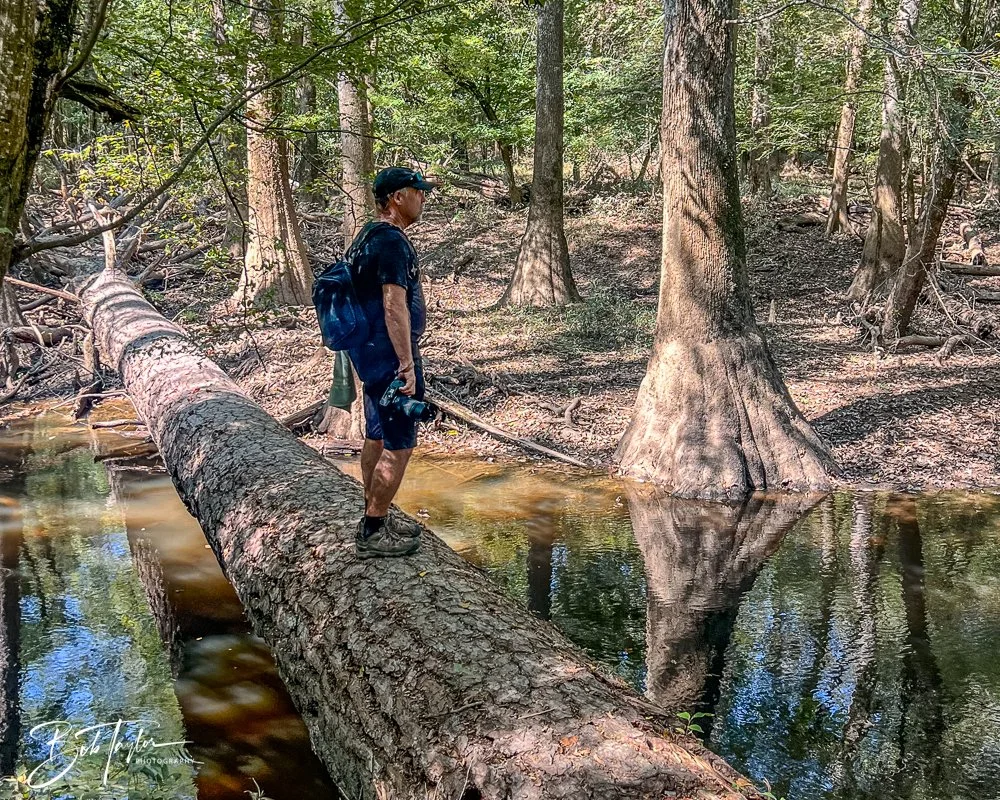 20250925-Congaree -34.jpg