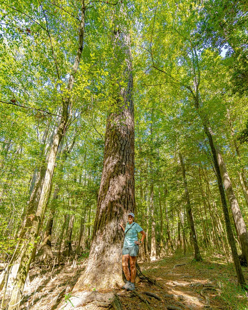 20250925-Congaree -16.jpg