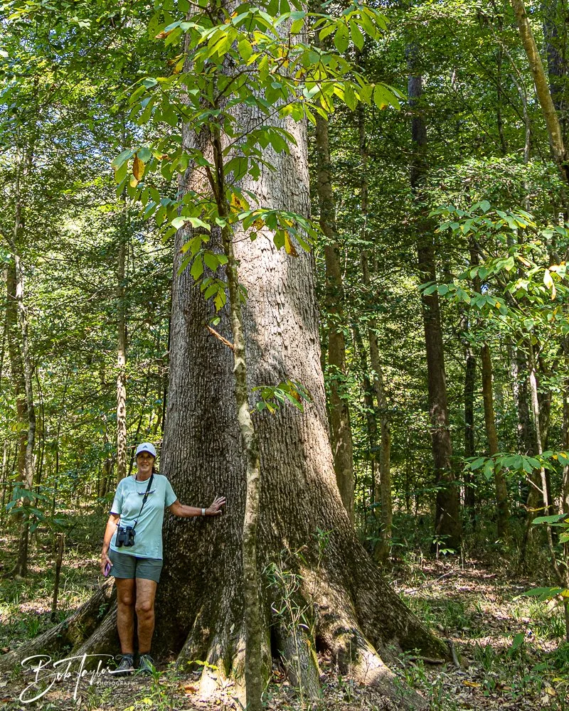 20250925-Congaree -30.jpg