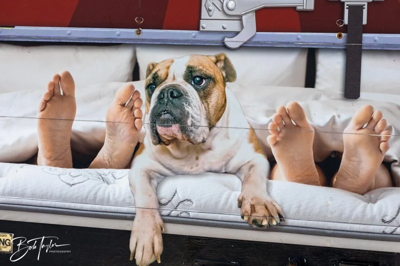 20240608-Blessing -57.jpg