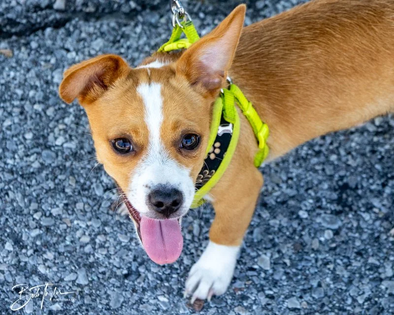 20240608-Blessing -36.jpg