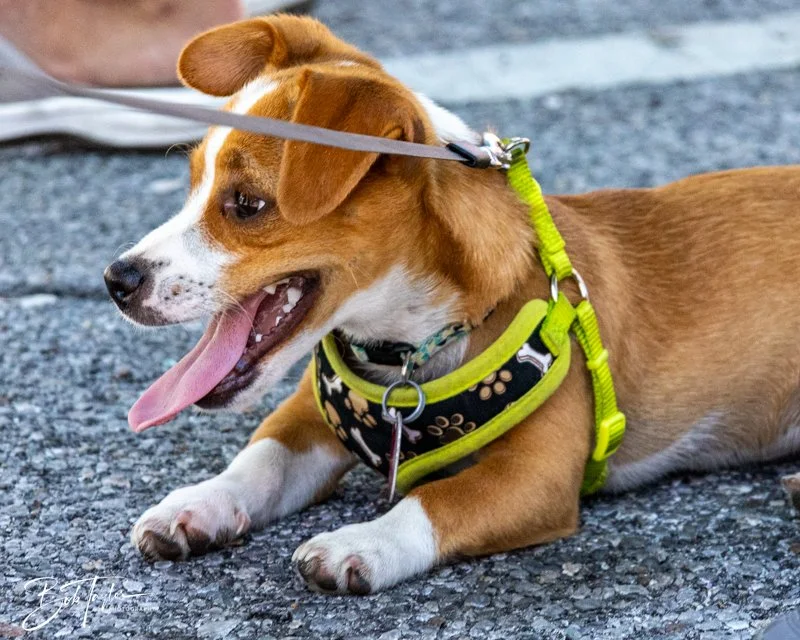 20240608-Blessing -13.jpg