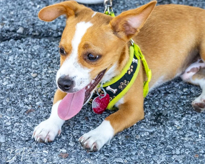 20240608-Blessing -37.jpg