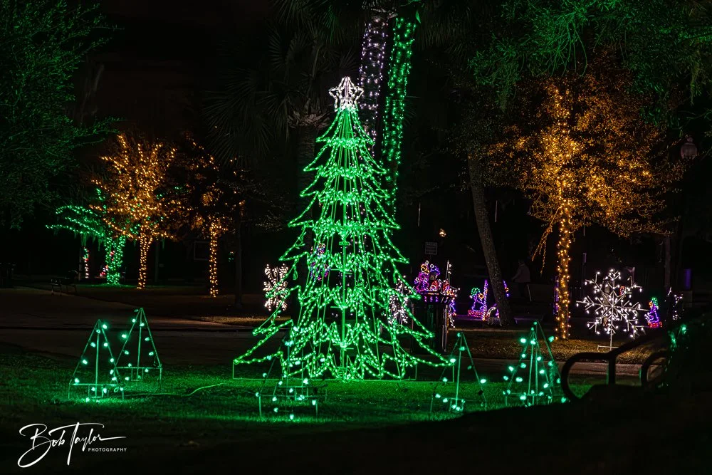 20241214-Christnas Lights -15.jpg