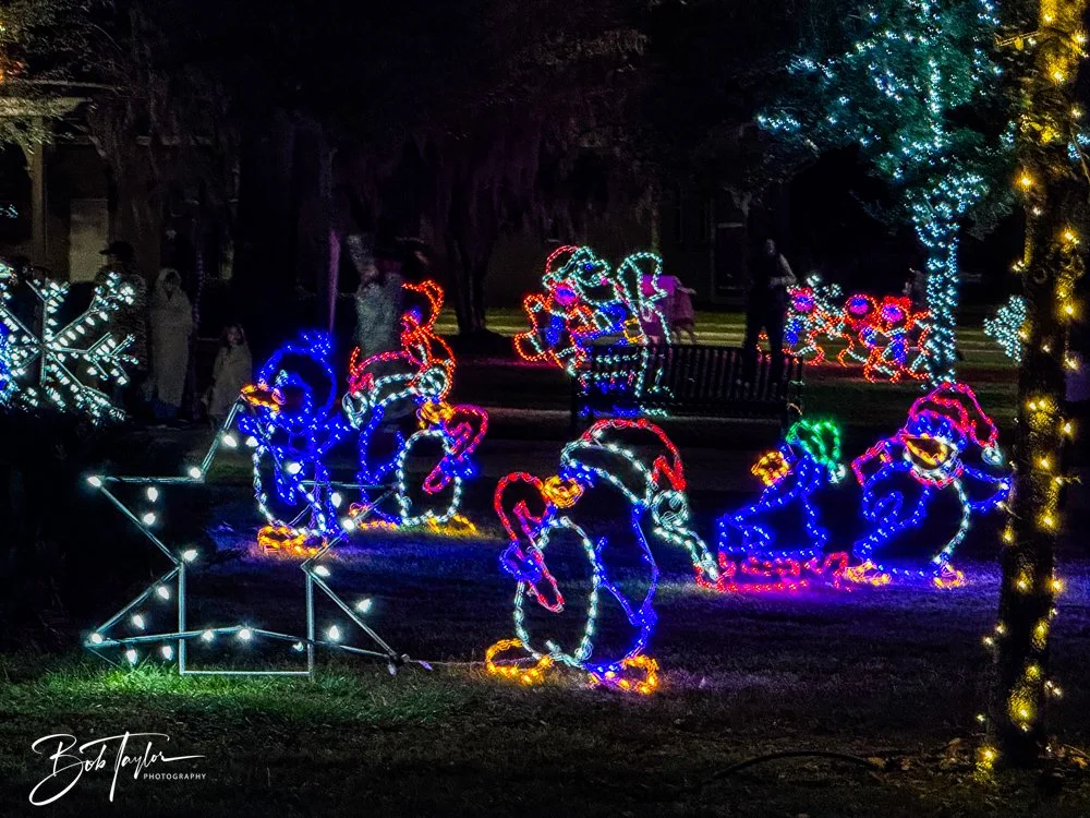 20241129-Christnas Lights -2.jpg