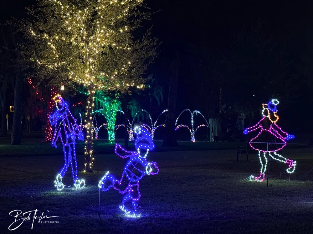 20241129-Christnas Lights -3.jpg