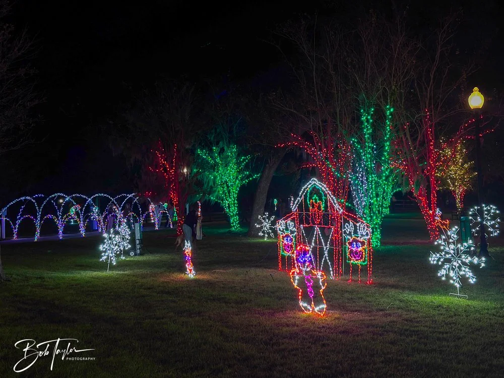 20241129-Christnas Lights -4.jpg